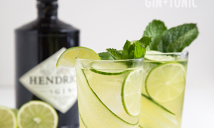 Cucumber Mint Gin and Tonic | the little epicurean