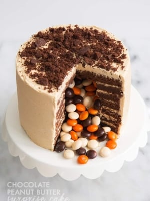 Chocolate Peanut Butter Surprise Cake