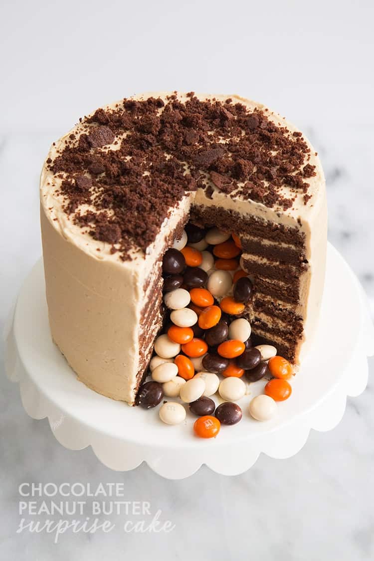 Chocolate Peanut Butter Surprise Cake