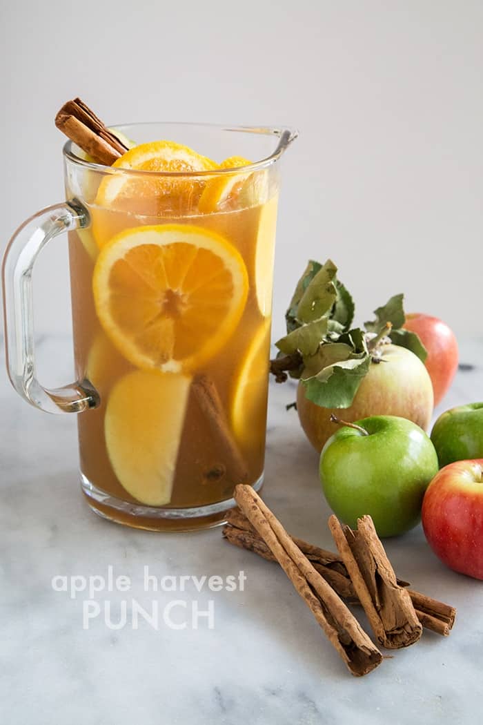 Apple Harvest Punch