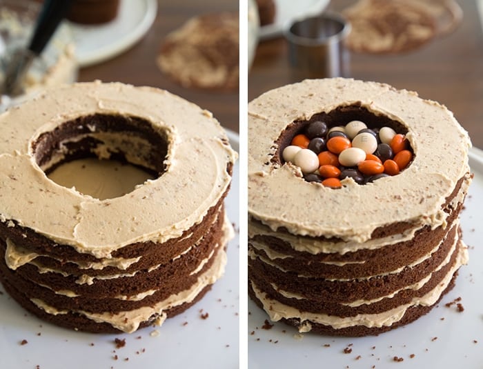 Chocolate Peanut Butter Surprise Cake 