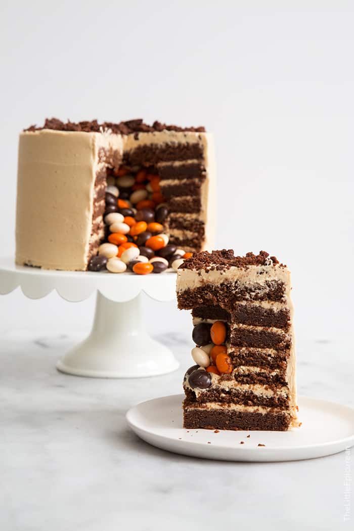 Chocolate Peanut Butter Surprise Cake 