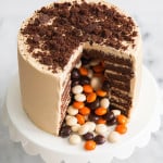 Chocolate Peanut Butter Surprise Cake