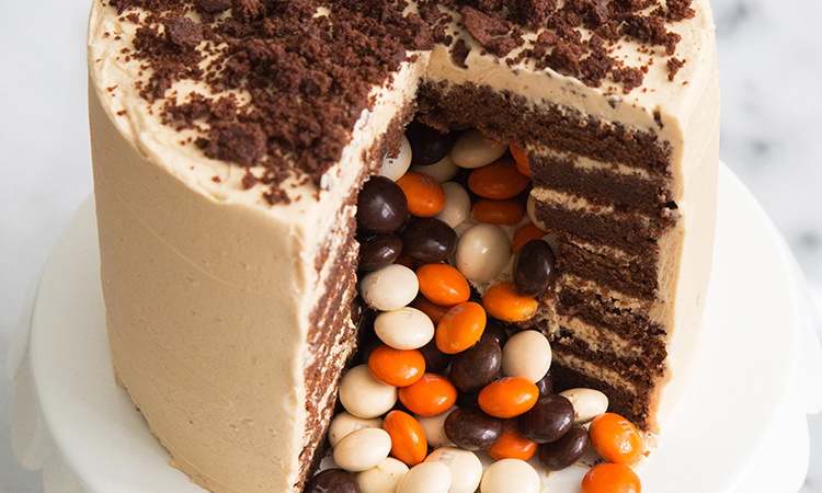 Chocolate Peanut Butter Surprise Cake