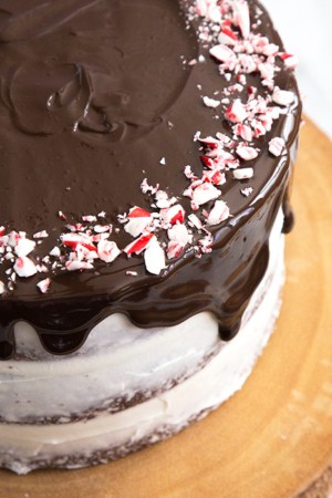 Chocolate Peppermint Cake