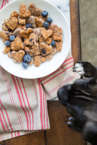 Blueberry Oatmeal Dog Treats