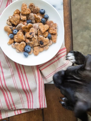 Blueberry Oatmeal Dog Treats