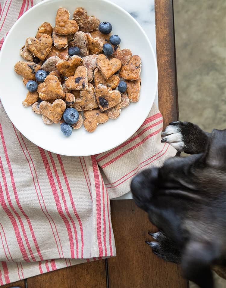 Blueberry Oatmeal Dog Treats