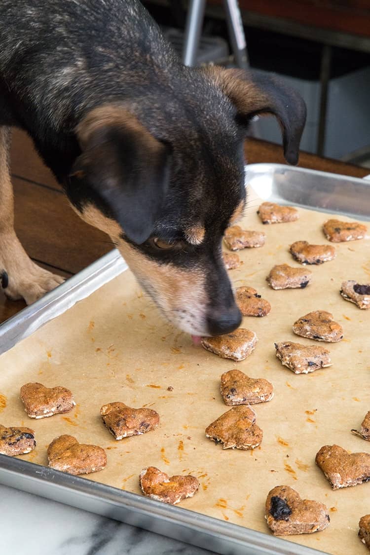 Blueberry Oatmeal Dog Treats