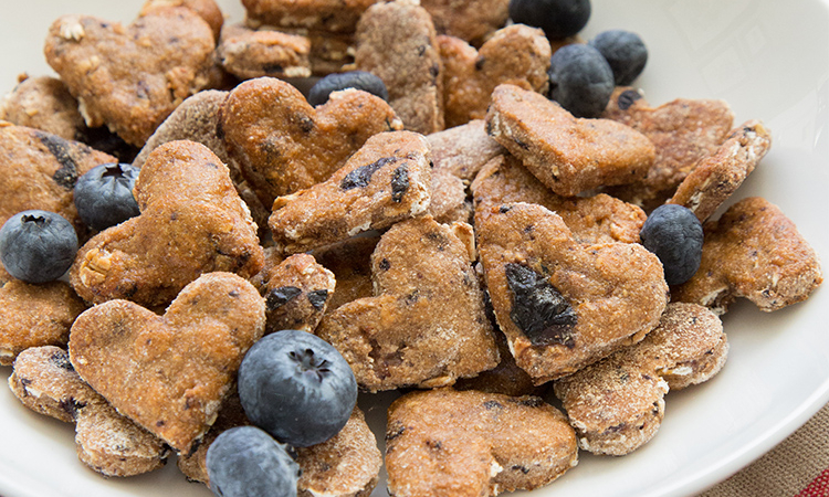 Blueberry Oatmeal Dog Treats