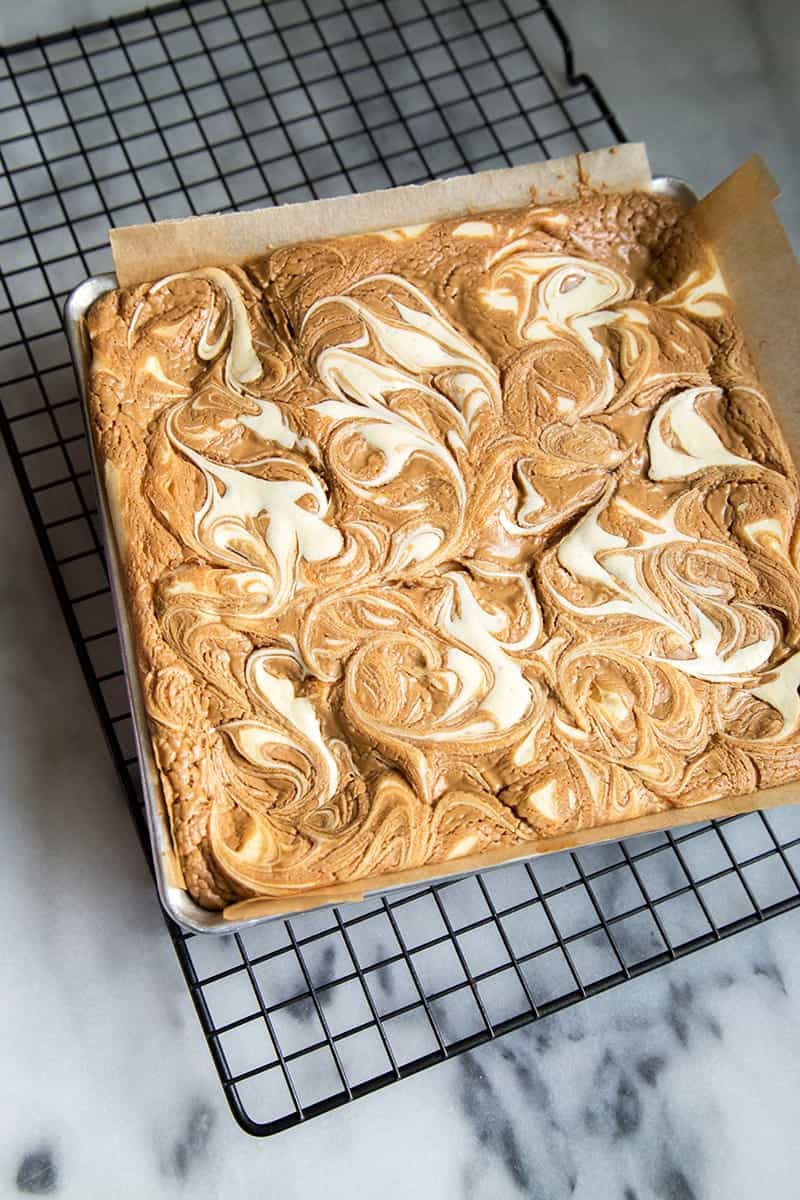 Cookie Butter Cheesecake Bites