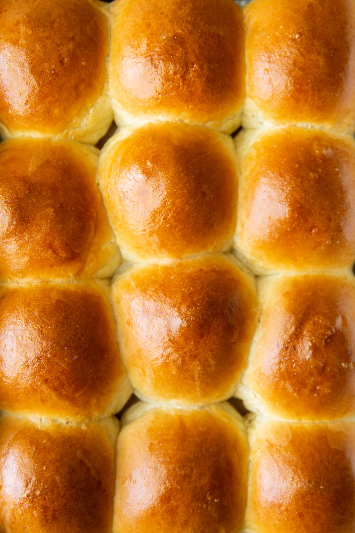 Milk Bread Rolls- The Little Epicurean