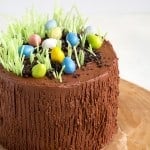 Easter Egg Hunt Chocolate Cake