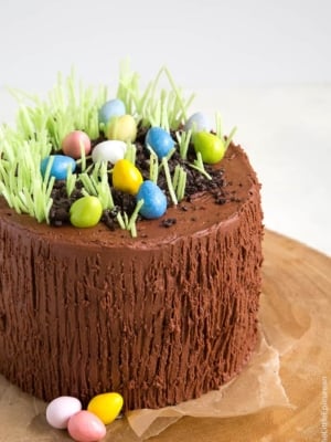 Easter Egg Hunt Chocolate Cake