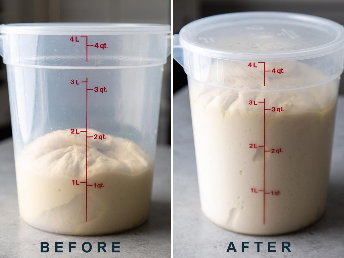 two images side by side showing how much the dough will rise during proofing.