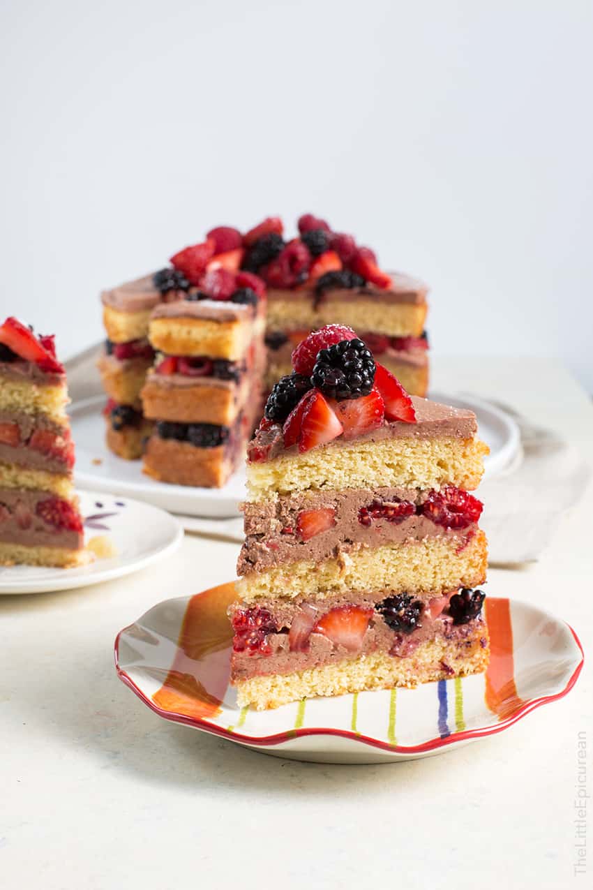 Chocolate Malt Berry Cake