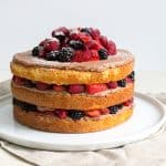 Chocolate Malt Berry Cake