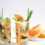 Greyhound Cocktail Float