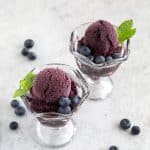Blueberry Sorbet