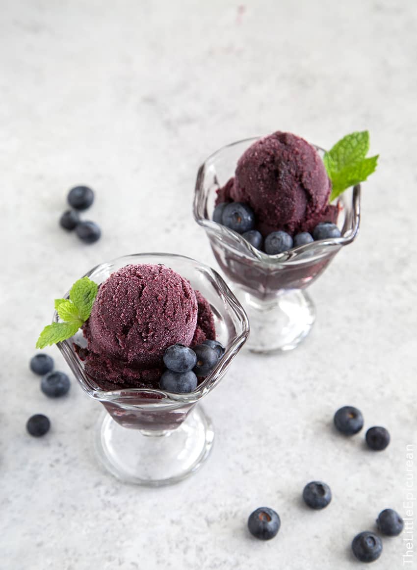 Blueberry Sorbet