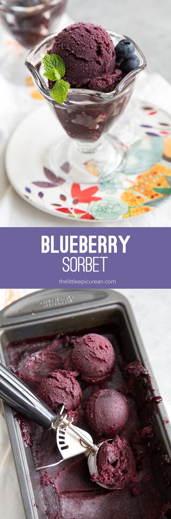 Blueberry Sorbet