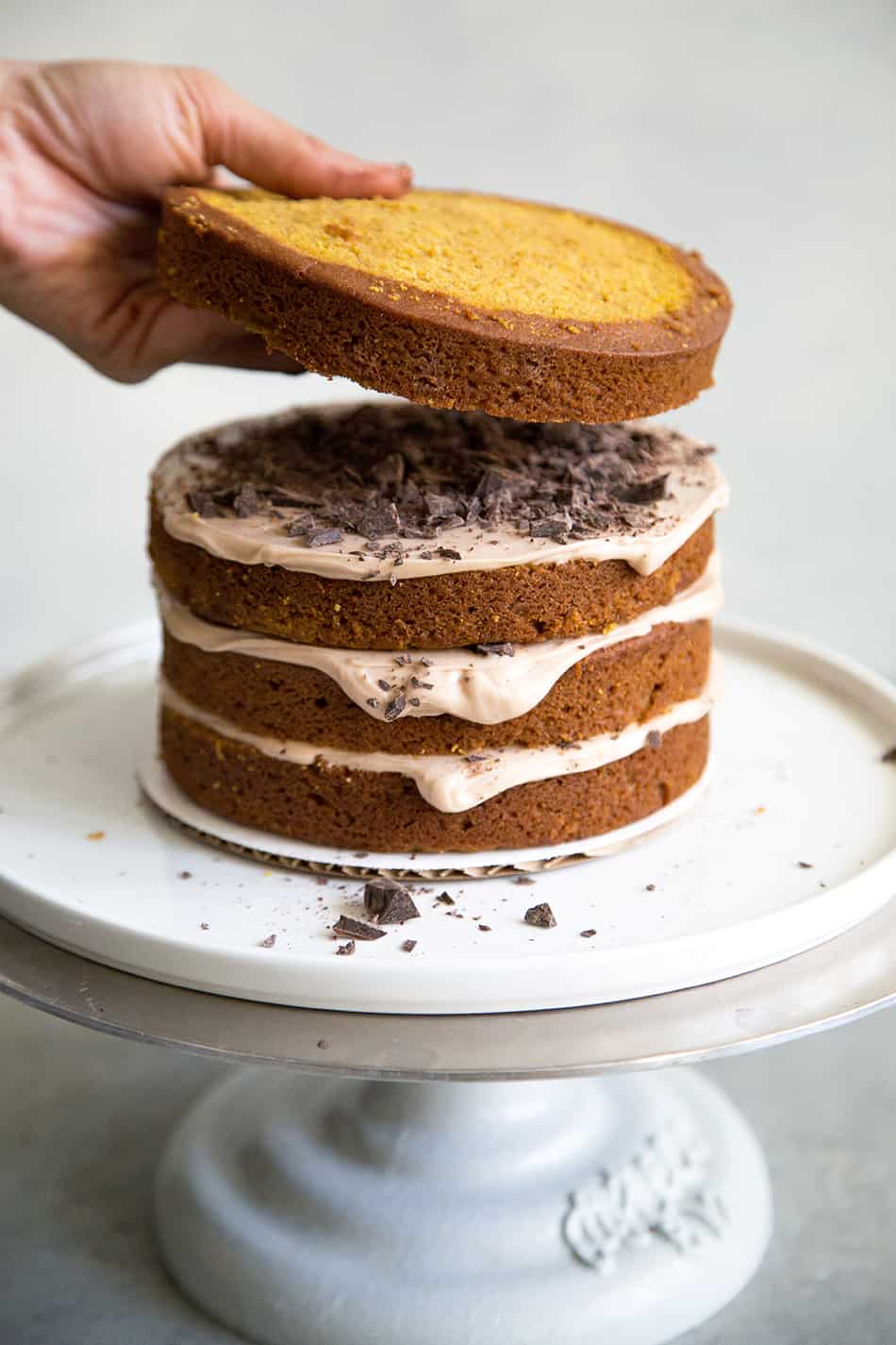 Forest Chocolate Pumpkin Cake