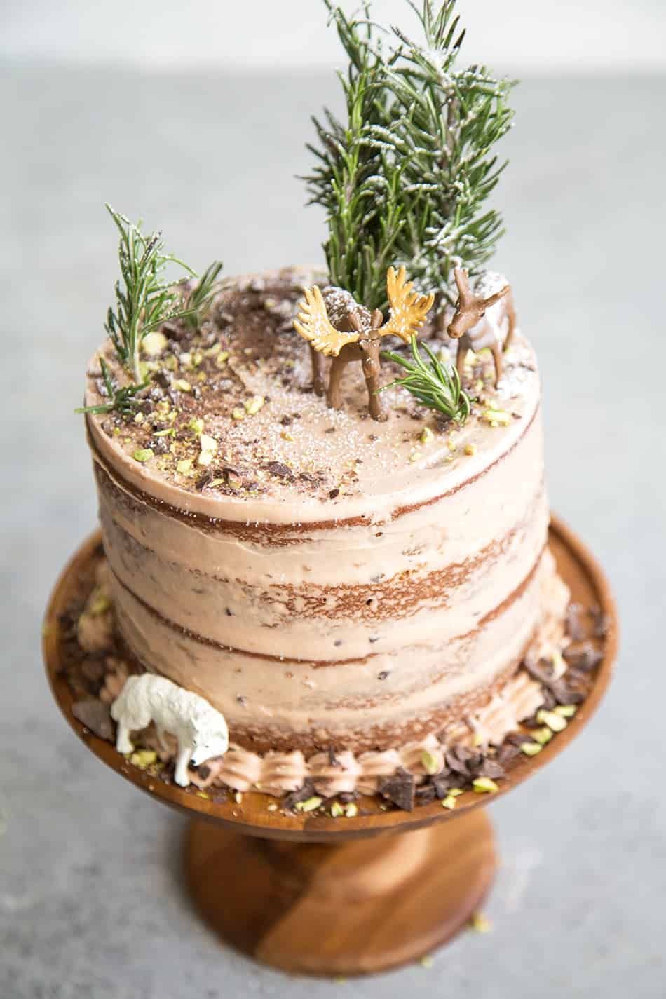 Forest Chocolate Pumpkin Cake