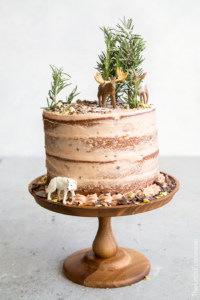Forest Chocolate Pumpkin Cake
