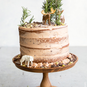 Forest Chocolate Pumpkin Cake