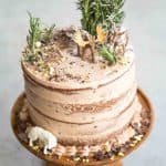 Forest Chocolate Pumpkin Cake