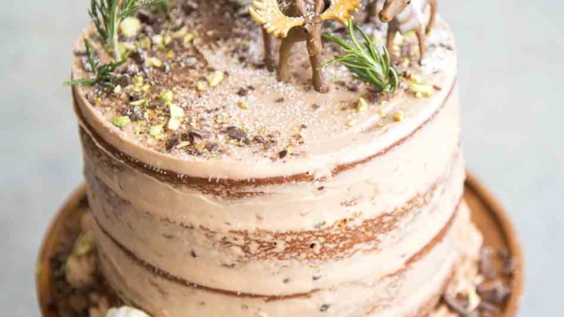 Forest Chocolate Pumpkin Cake