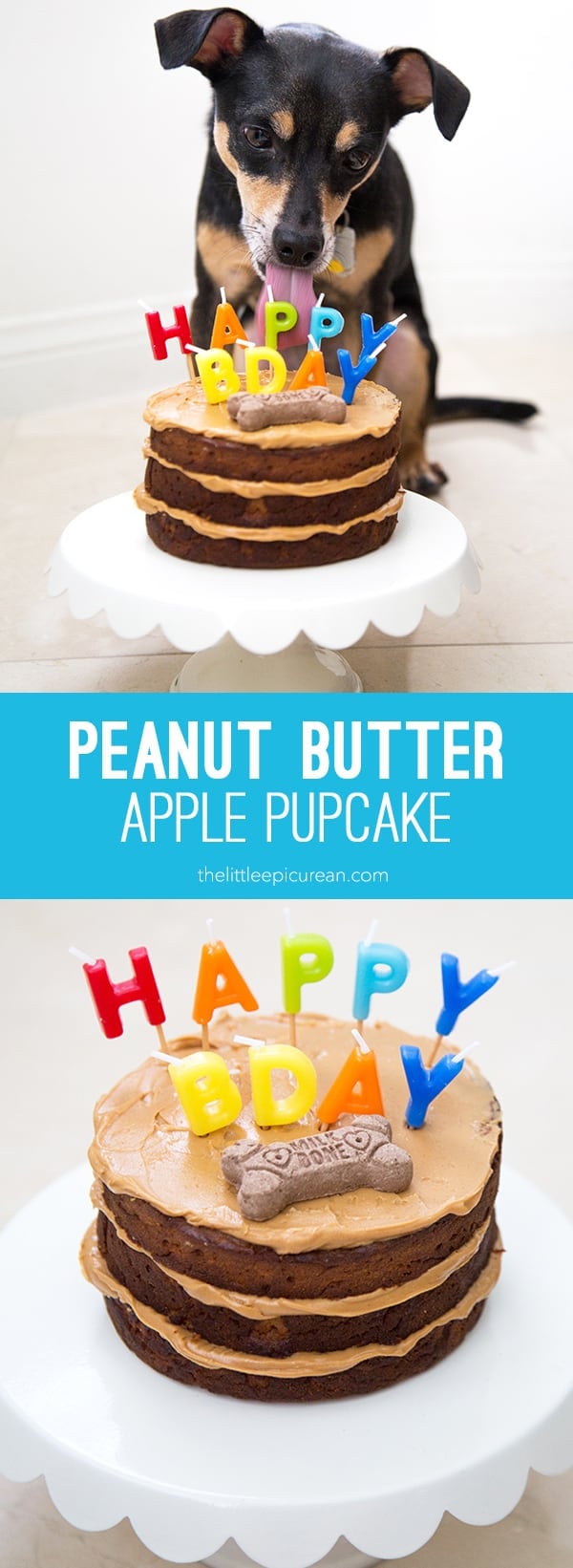 Apple cake for best sale dogs