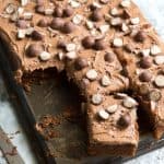 Chocolate Malt Sheet Cake cut into serving portions.