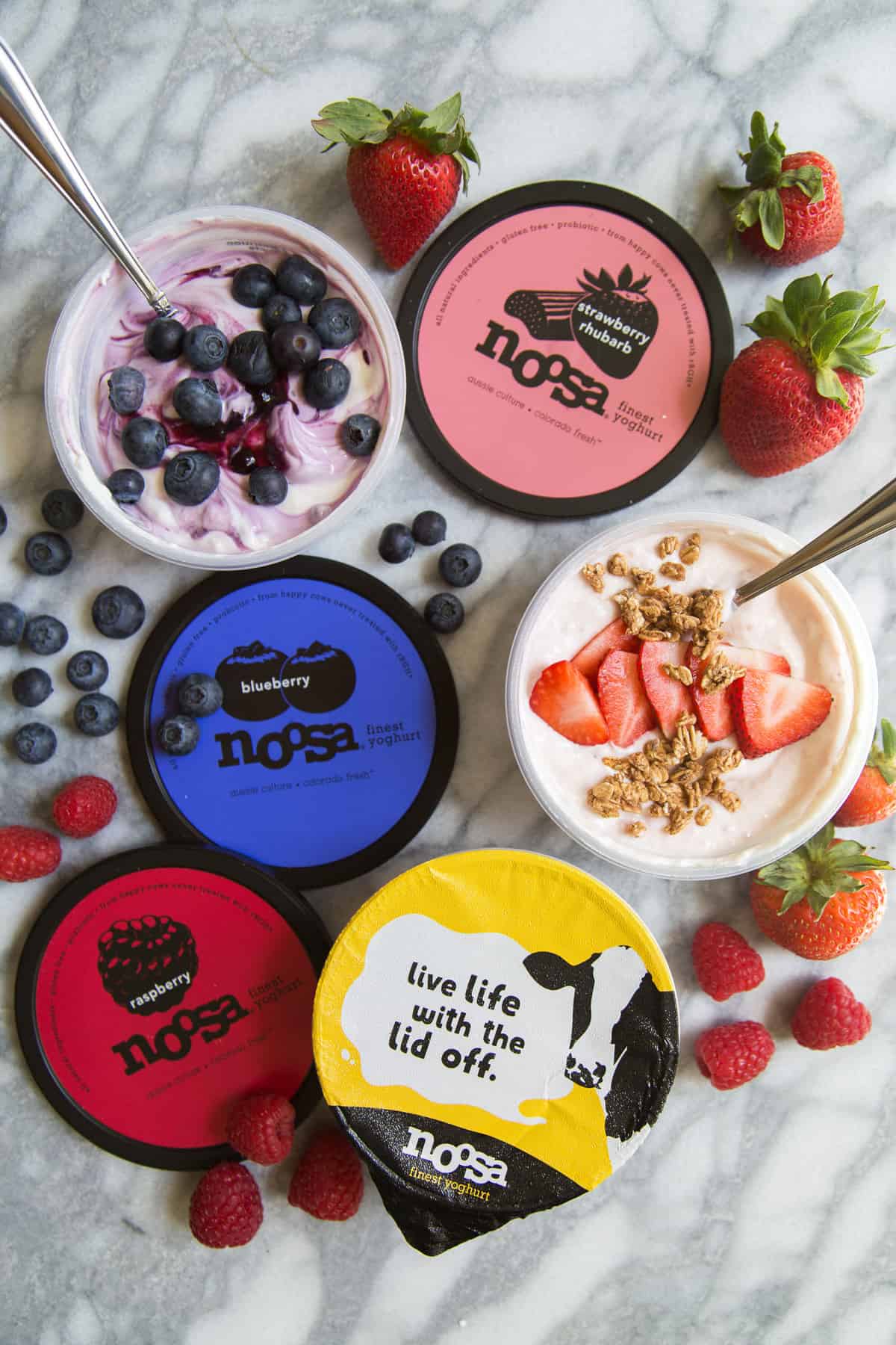 noosa yogurt tour