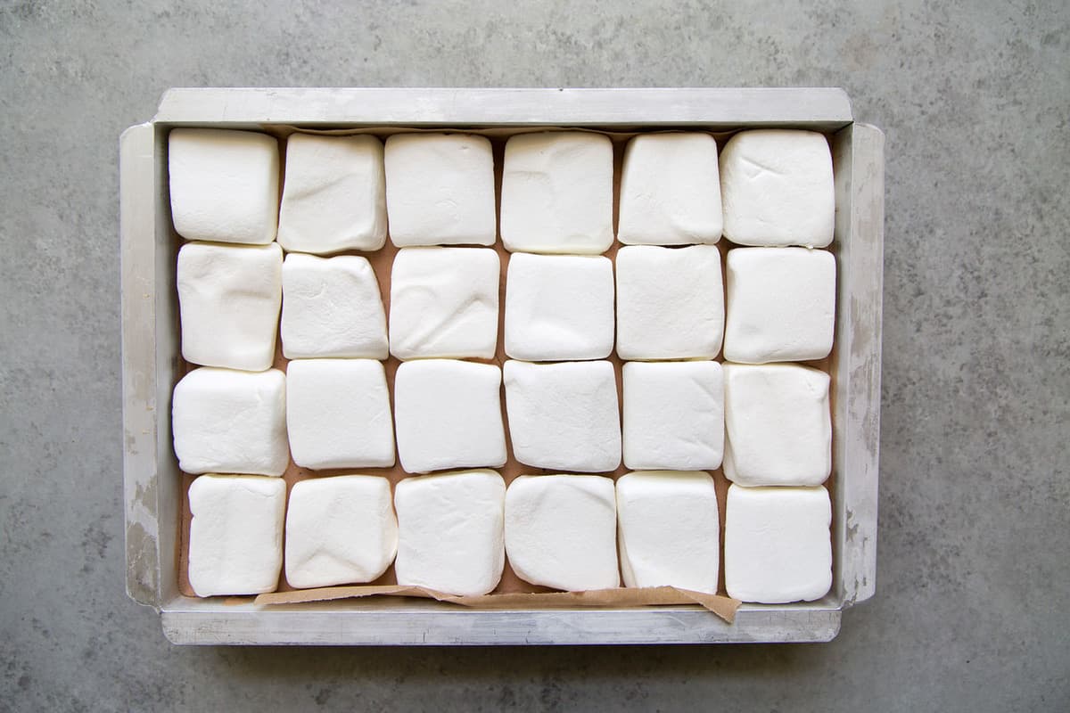 S'mores Ice Cream Bars