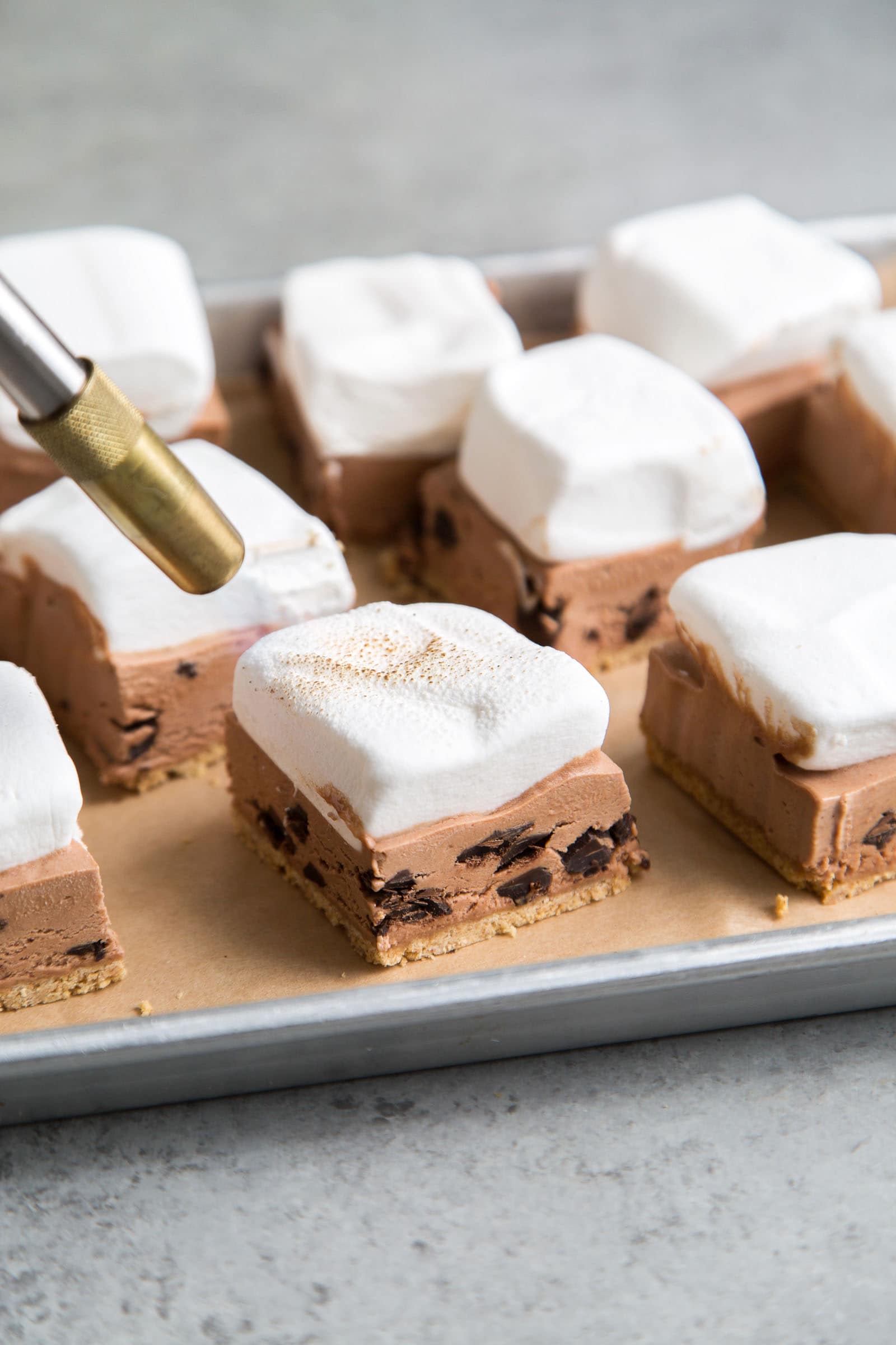 S'mores Ice Cream Bars