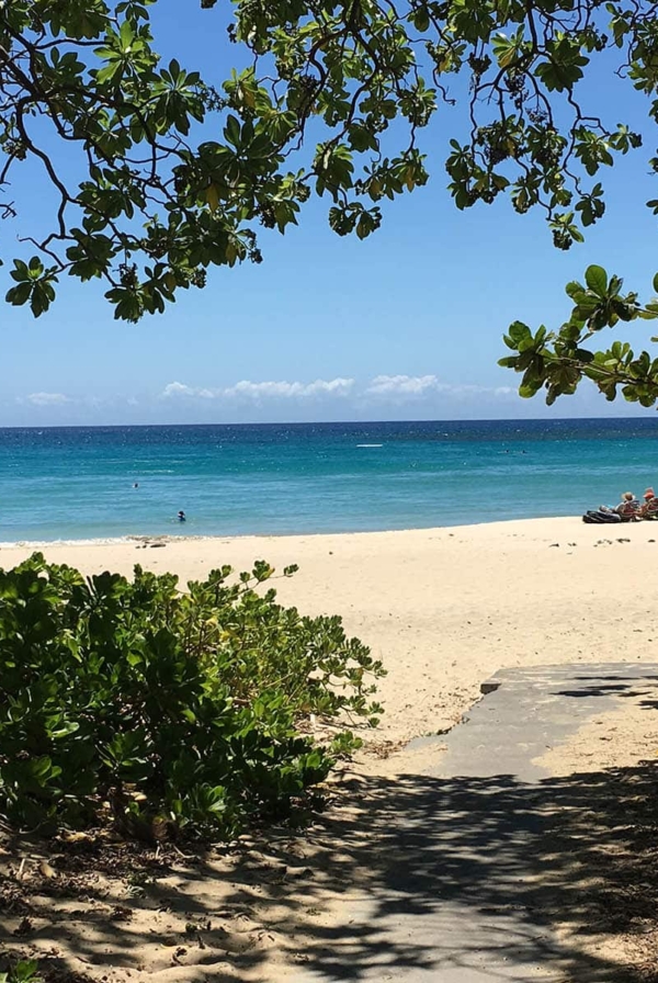 Big Island Hawaii Travel Guide