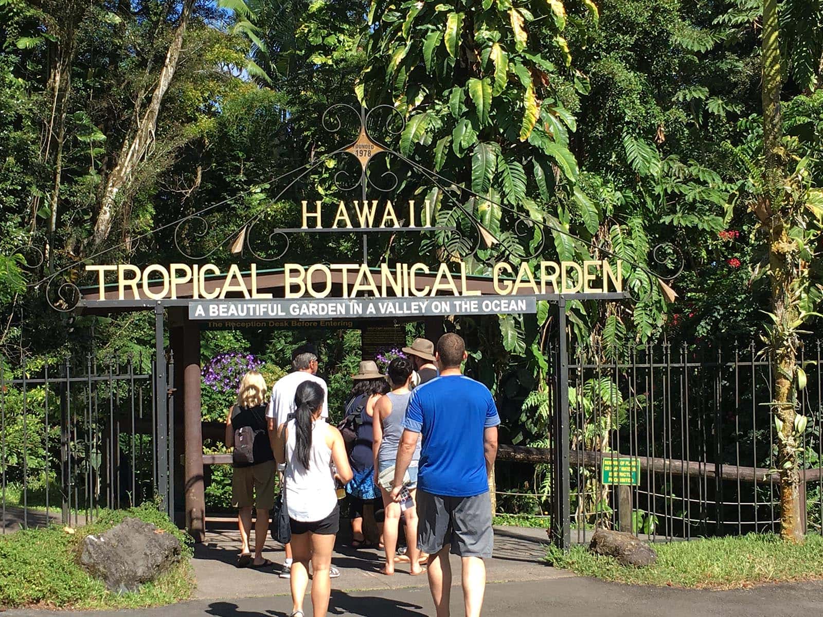 Big Island Hawaii Travel Guide