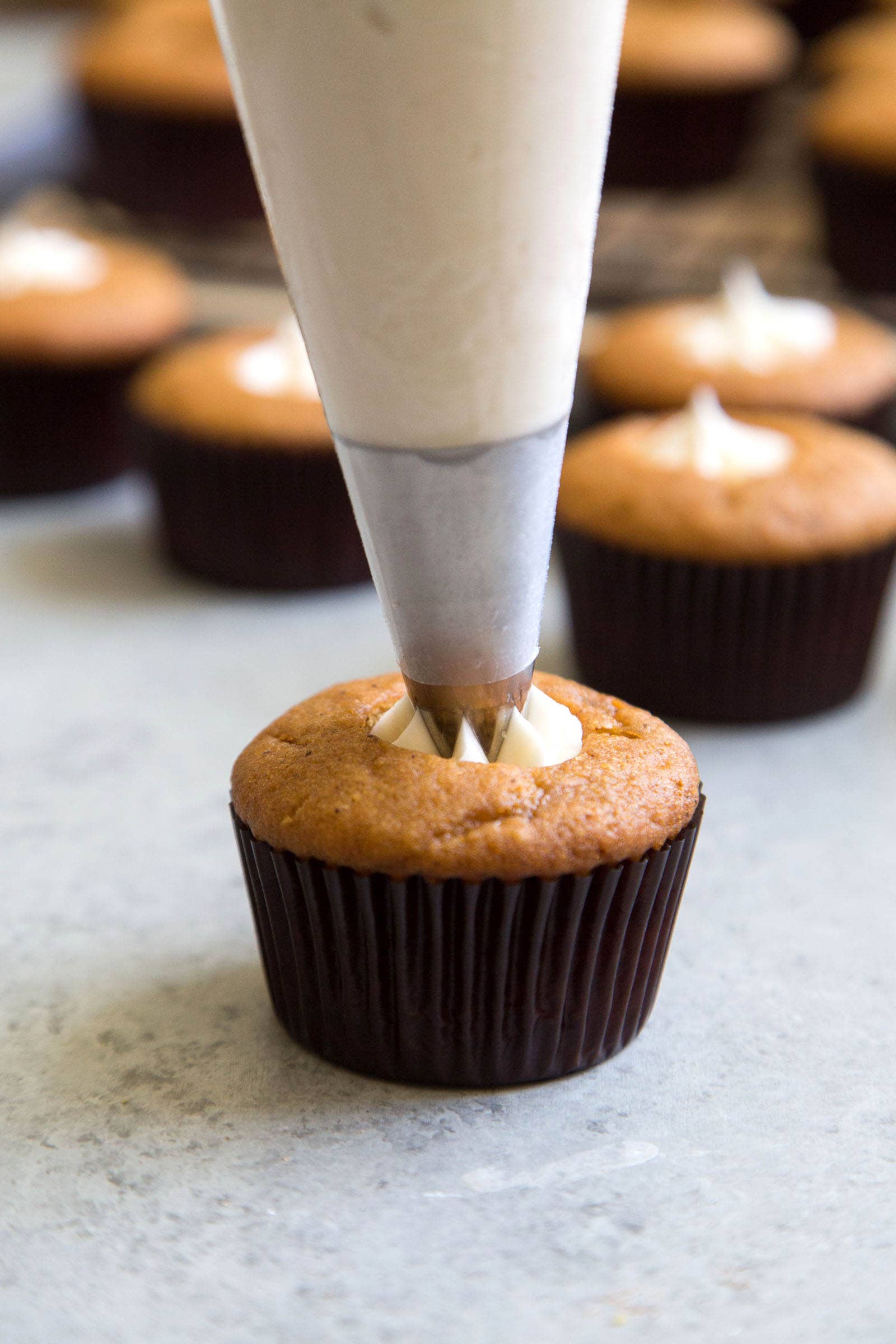 Butternut Squash Cupcakes with Toasted Marshmallows