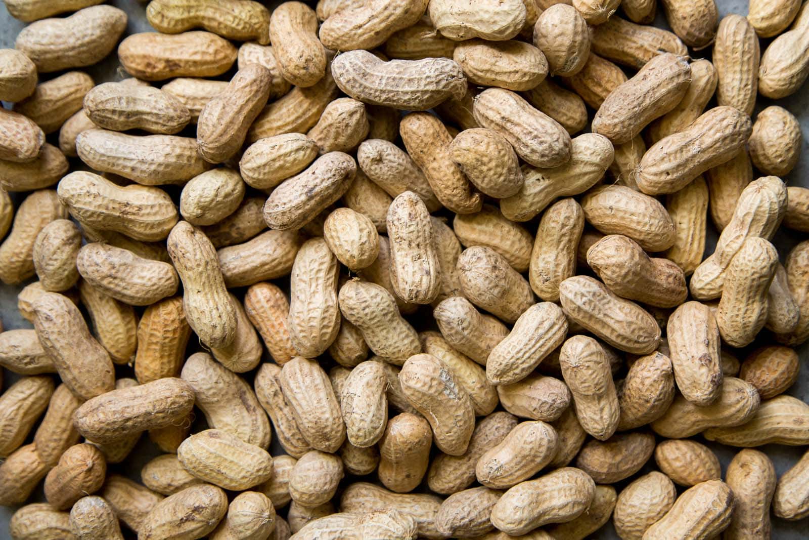Boiled Peanuts Nilagang Mani Stovetop And Pressure Cooker Method The Little Epicurean