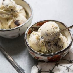Chocolate Chunk Ricotta Ice Cream