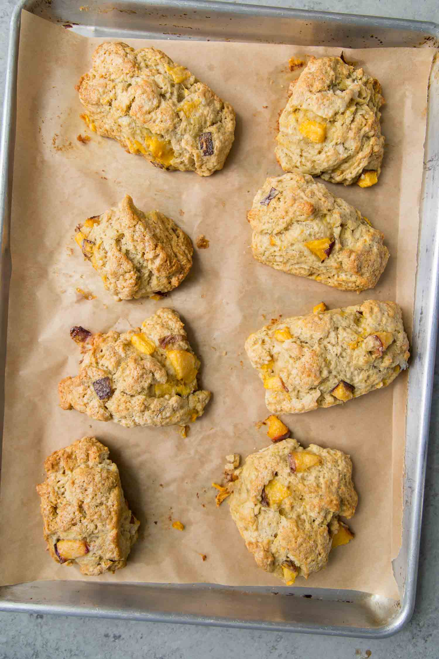 fresh baked nectarine scones on parchment lined baking sheet.