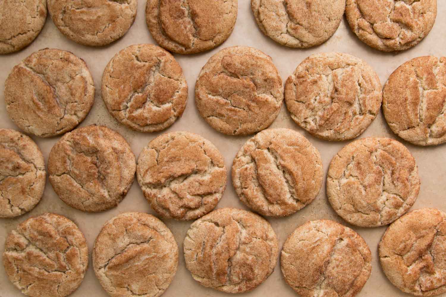 Cookie Butter Snickerdoodles-image