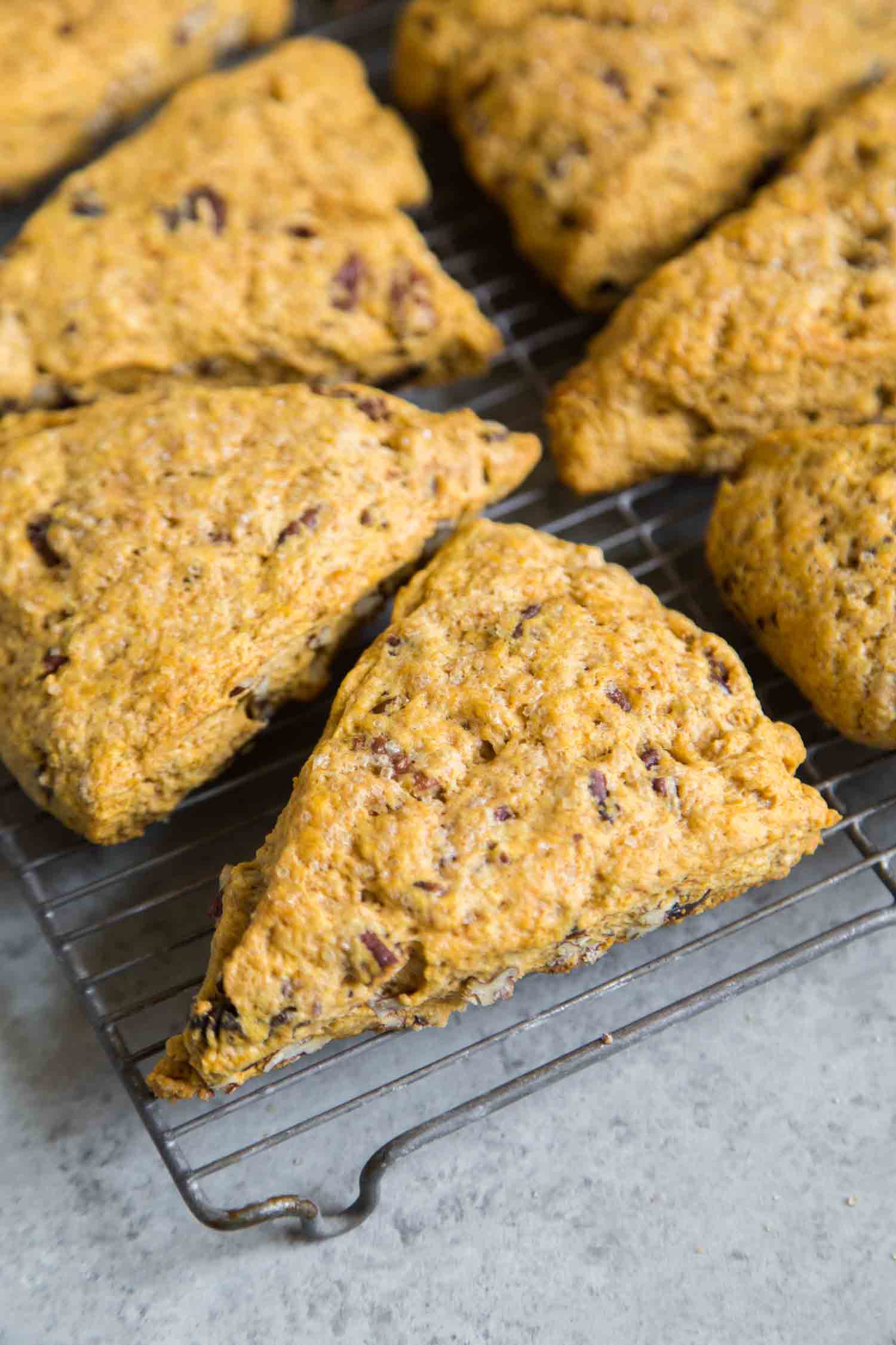 Pecan Pumpkin Scones