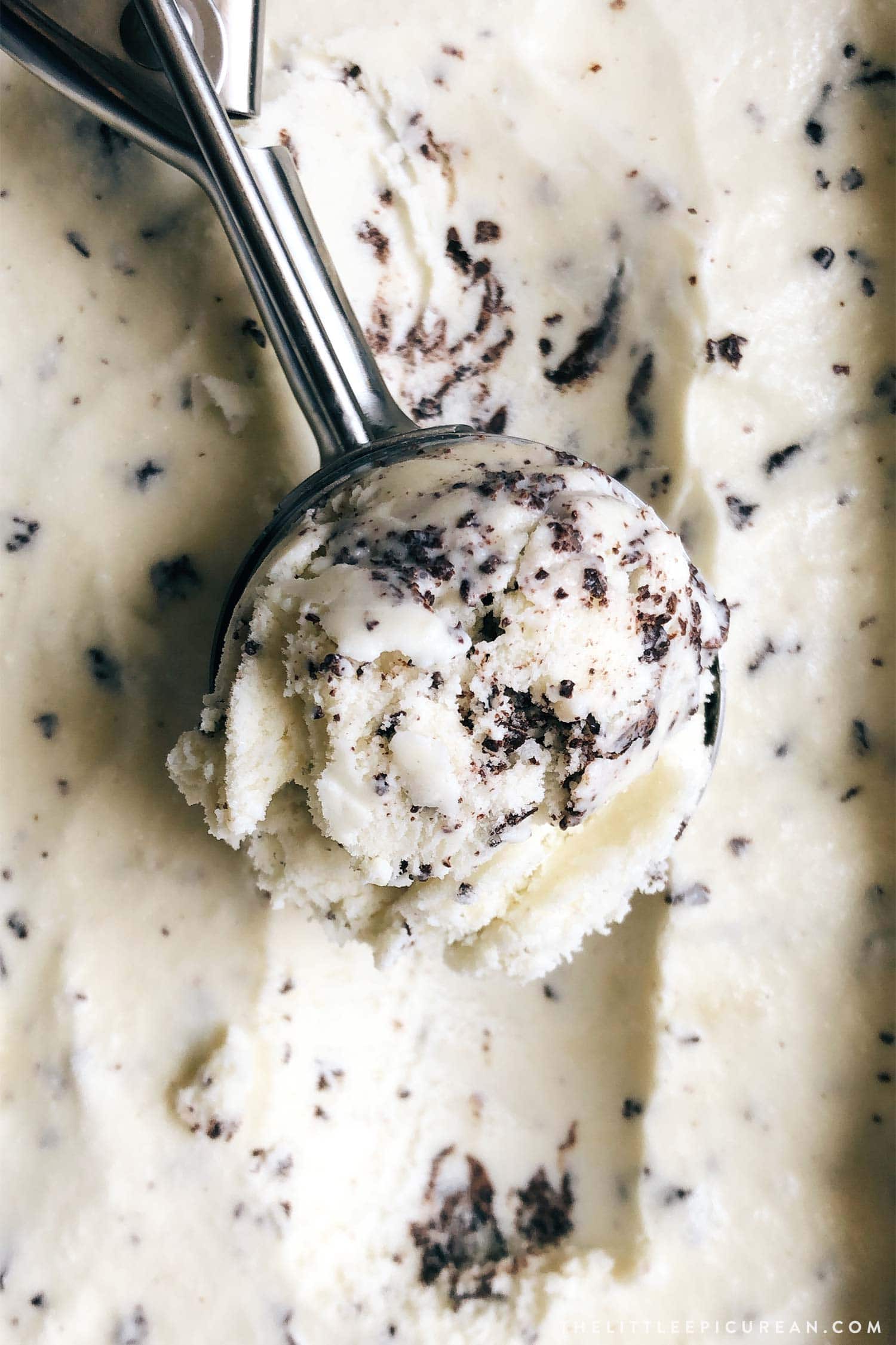 Fresh Mint Chip Ice Cream