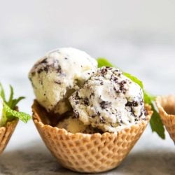 Fresh Mint Chip Ice Cream