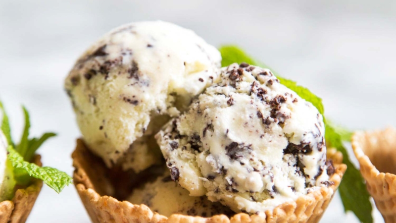 Fresh Mint Chip Ice Cream