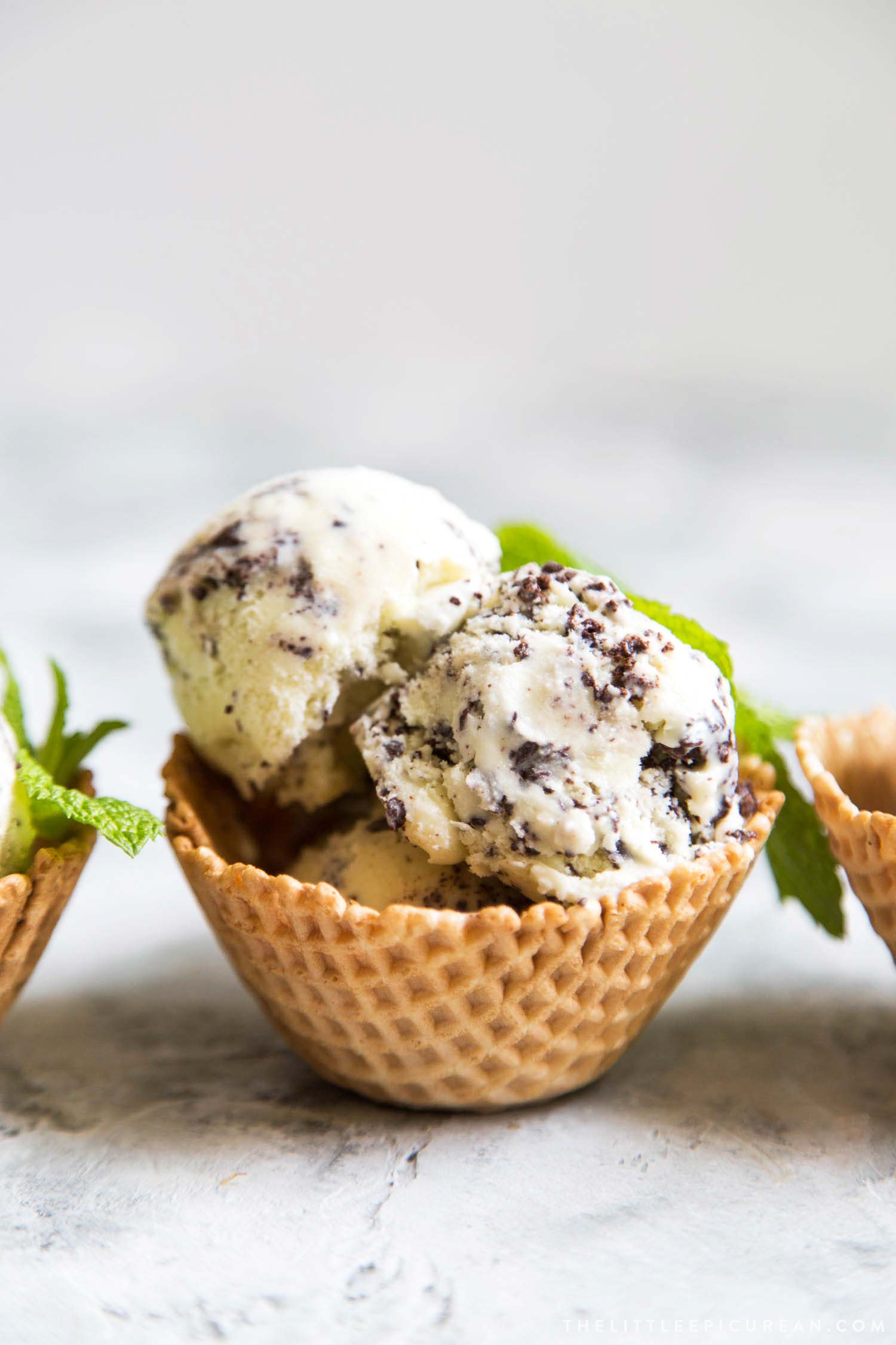 Fresh Mint Chip Ice Cream