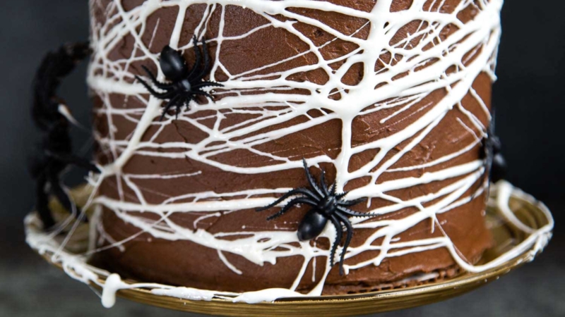 Chocolate Spider Web Cake. Three layer chocolate cake frosted with simple chocolate buttercream and decorated with marshmallow spider webs. It's the perfect Halloween treat!