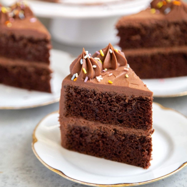 Classic chocolate cake slice topped with rainbow sprinkles. Two layer chocolate cake with simple chocolate American buttercream.